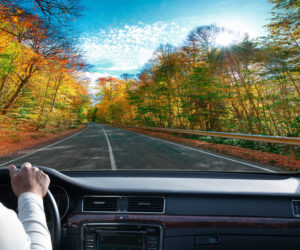 Hands on steering wheel of a car driving on an asphalt road