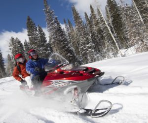 Couple Snowmobiling