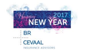 brcevaal_newyear